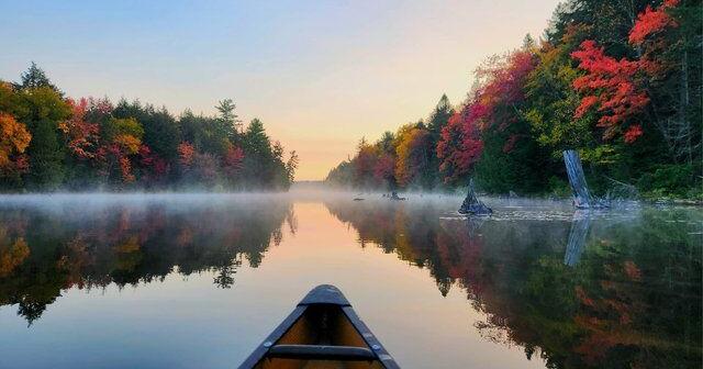 Oxtongue Inspires: Through the lens of local artists