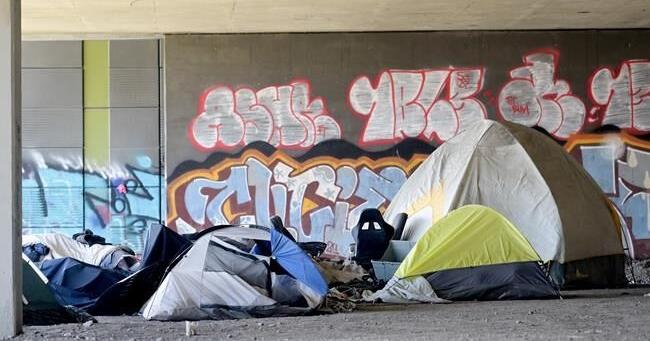 Visible homelessness in Quebec rose about 44 per cent since 2018, report finds - Vimarsana News