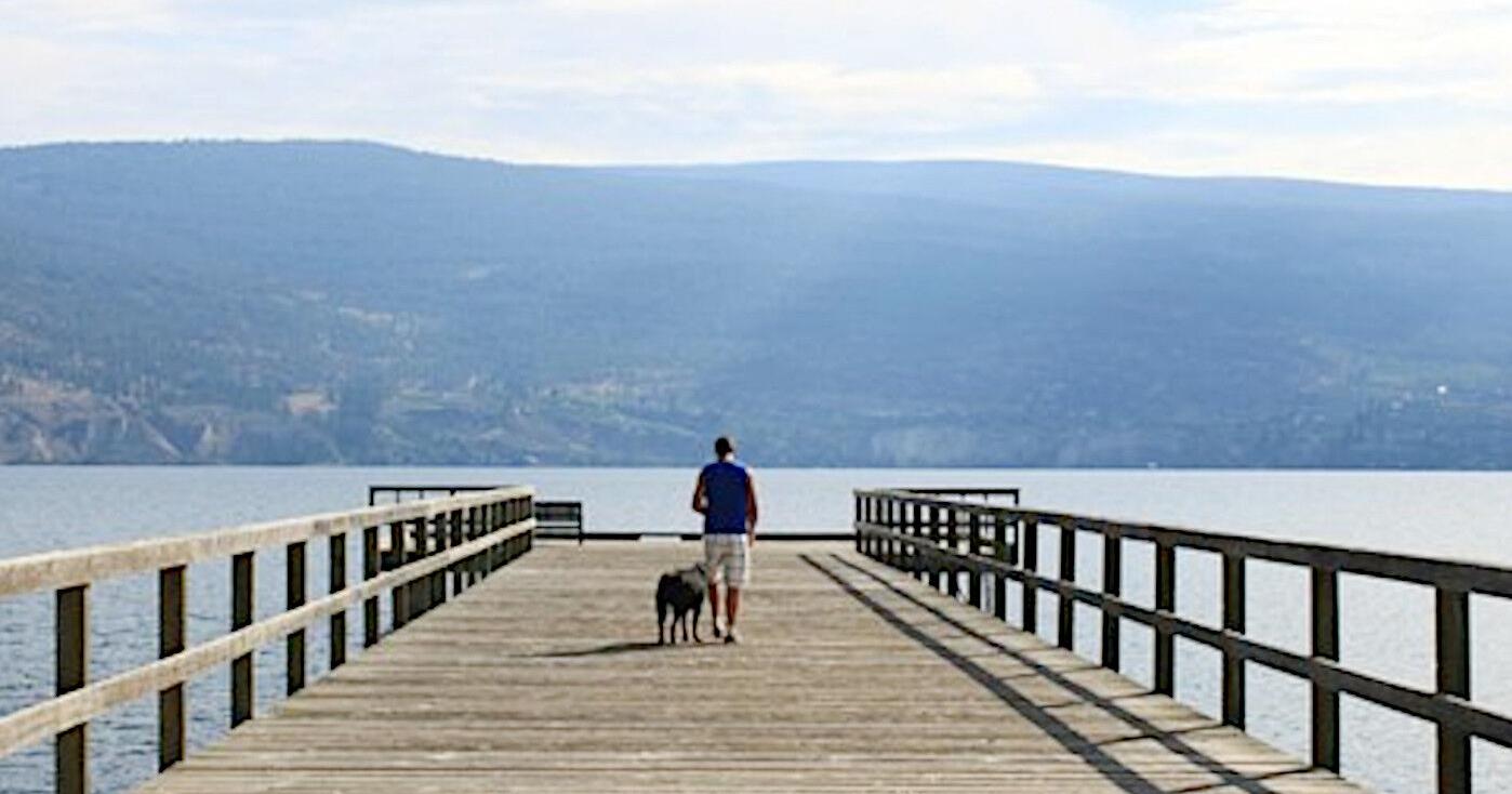 Water meters debated in Summerland council chambers - Vimarsana News