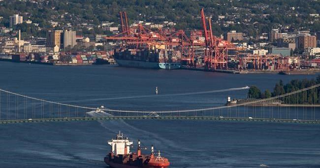 Shipping industry looks for consensus on sustainable fuels ahead of net-zero goals - Vimarsana News