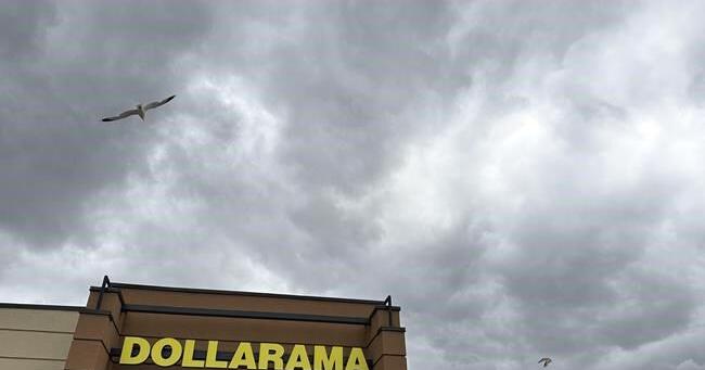 Dollarama reports increased profit as it attracts budget-conscious customers - Vimarsana News