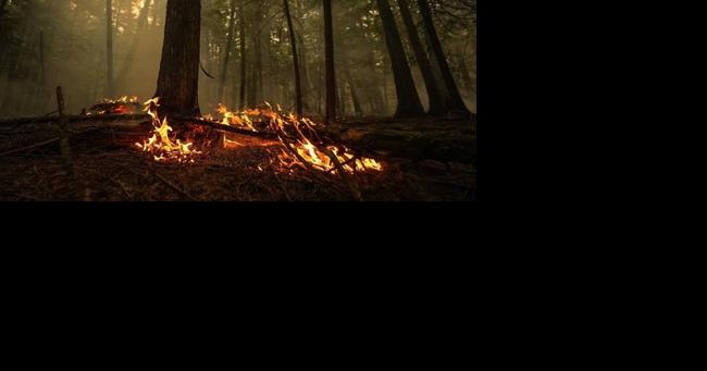 Multiple early season wildfires burning in B.C.'s Cariboo and Prince George regions - Vimarsana News