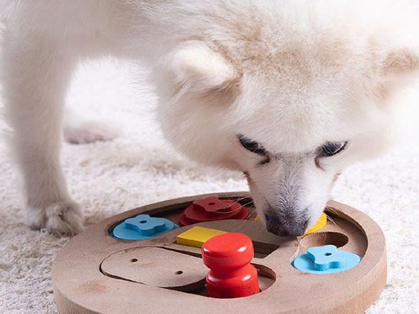 Solving the Puzzle
