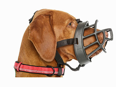 company of animals baskerville rubber ultra muzzle