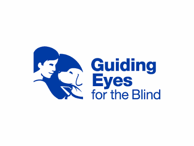 Guiding eye top