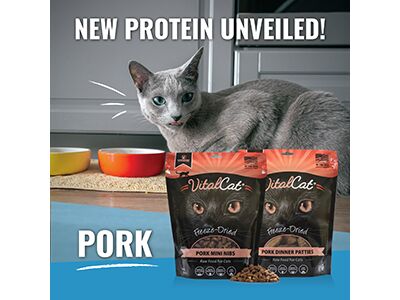 pro choice cat food