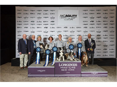 Akc agility premier cup cheap