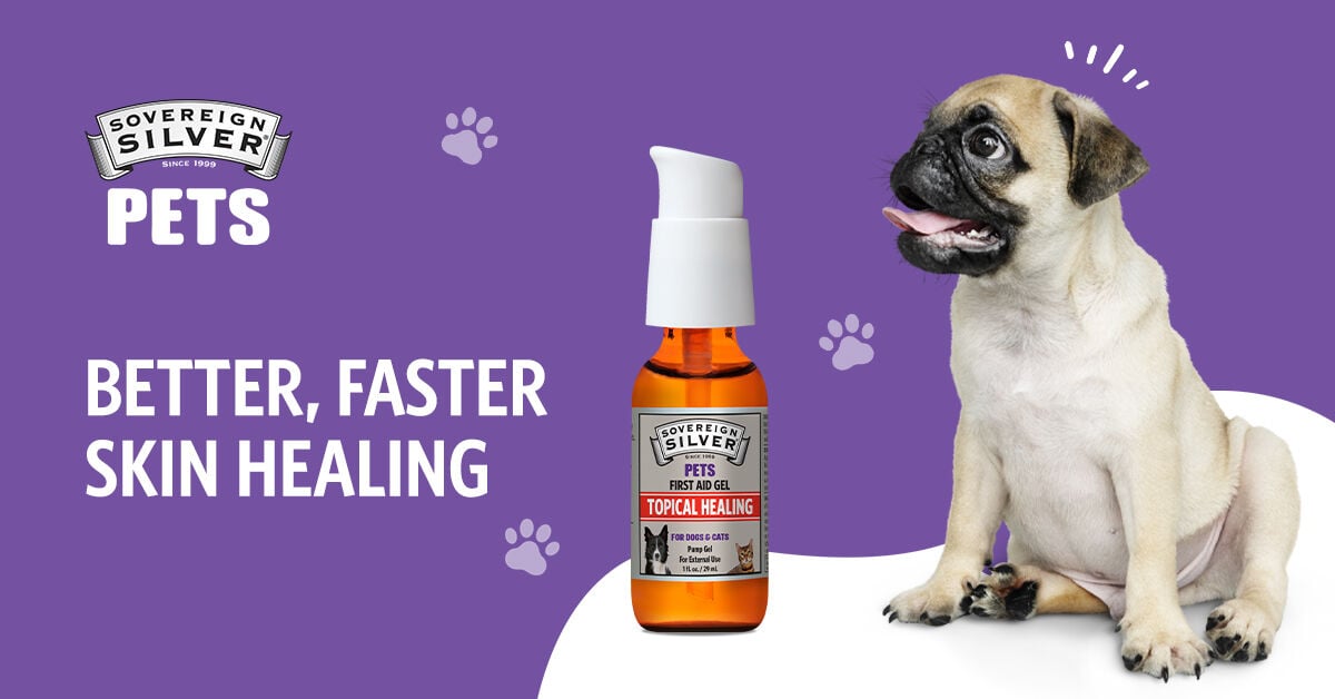 Silver hydrosol for outlet dogs