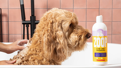 Zoop Complete 6 in 1 Natural Dog Shampoo and Conditioner New