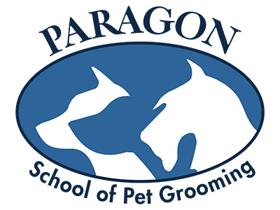 Hey Joe! Podcast - Paragon School of Pet Grooming