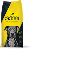 Diamond Pet Foods Launches High Performance Dog Food Line Archives petbusiness