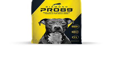 Diamond Pet Foods Launches High Performance Dog Food Line