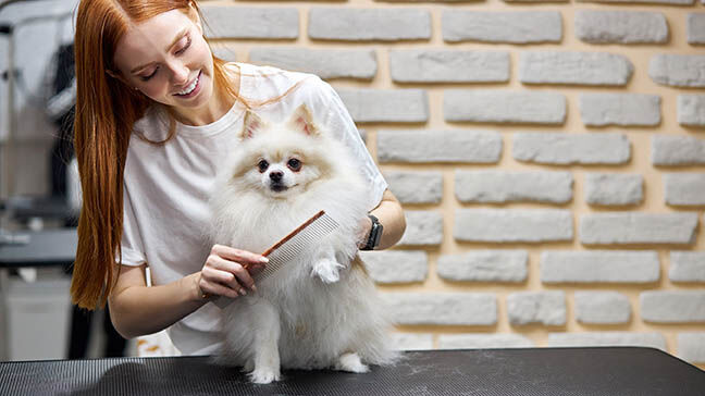 A Lifetime of Learning | | petbusiness.com