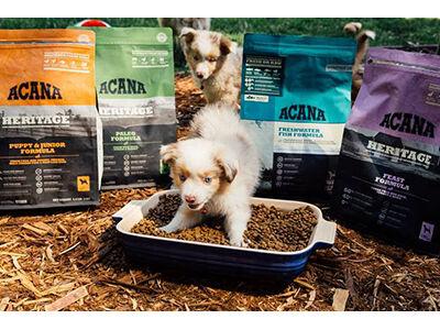 Champion Petfoods Releases New ACANA Flavors | Archives petbusiness.com