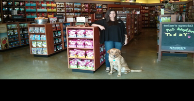 Kriser's dog best sale food brands