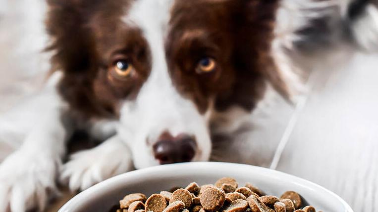 Making the Case for Traditional Diets
