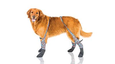 Walkee Paws Indoor Grippy Sock Dog Leggings