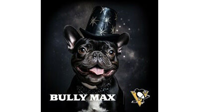 Bully max beanie hotsell