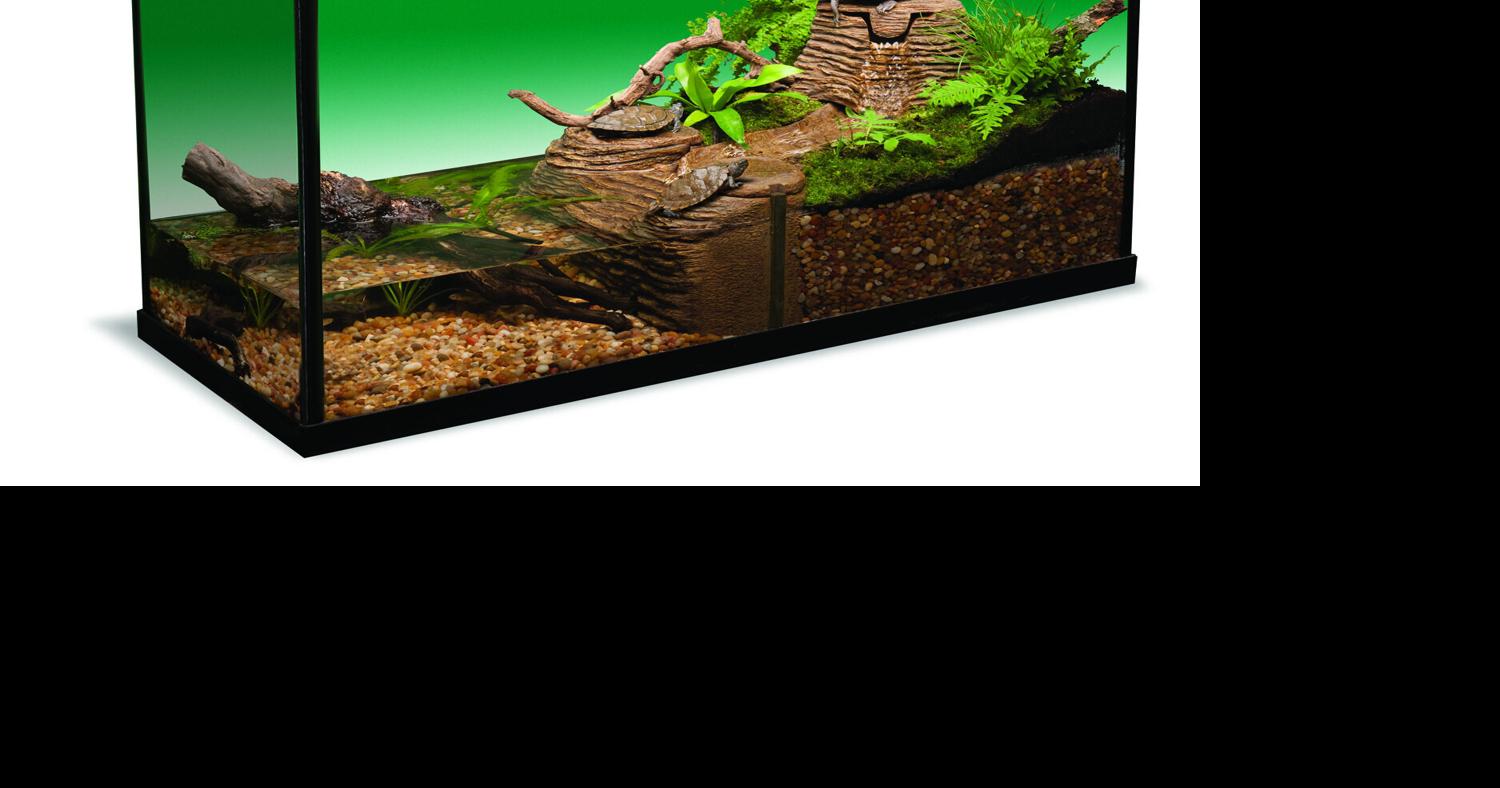 Tetrafauna Viquarium Archives