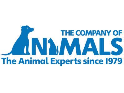 The Company of Animals Establishes Charity Foundation | Archives | The Company of Animals Establishes Charity Foundation | Archives |