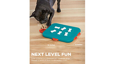 Outward Hound Nina Ottosson Dog Casino Interactive Treat Puzzle Dog Toy,  Advanced