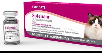 Cat anti inflammatory injection clearance