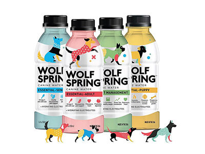 Is Flavored Water Okay for Dogs to Drink?