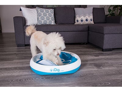 iFetch to Unveil First-Ever Interactive Digging Toy for Dogs at SuperZoo  2018 