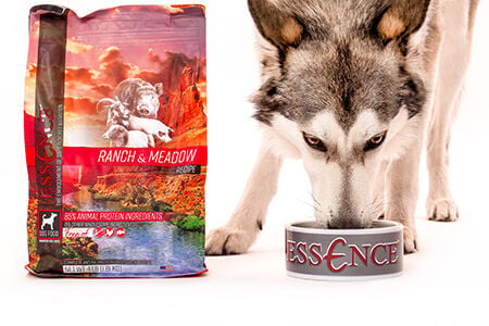 Essence, Ranch & Meadow Recipe Dry Cat Food, 4 Pound