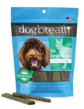 Loving Pets Robusto Bowl - X-Small - Aqua