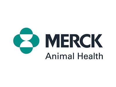 Merck Animal Health Partners with The Street Dog Coalition | Industry News Merck Animal Health Partners with The Street Dog Coalition | Industry News