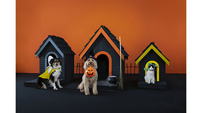 PetSmart Launches New Halloween Collection And Offers Tips For a