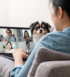 woman dog computer 2