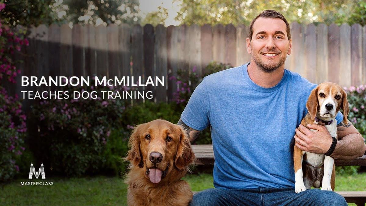 Brandon McMillan's 10 Essential Dog Training Tools - 2024