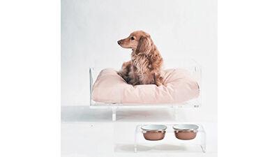 Luxury Pet Accessories For Fashionable Pet Owners