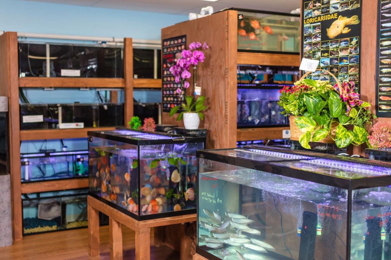 Retailer Roundtable: The Future of Fishkeeping | Trends ...