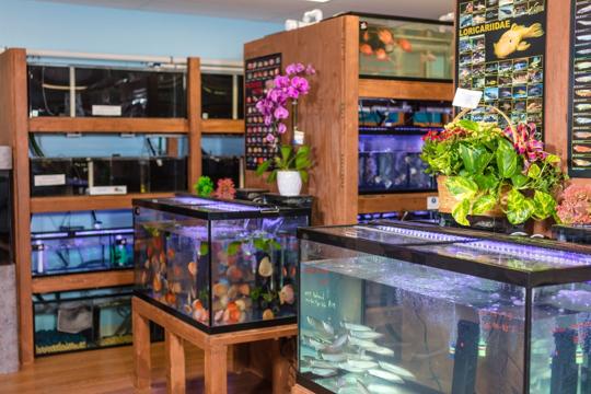 Pet zone tropical fish coupon