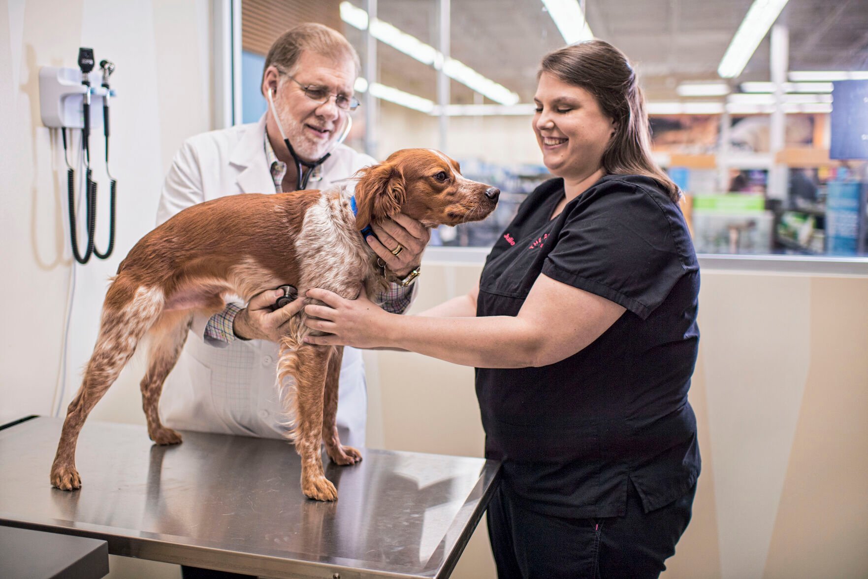 Petco store vet clinic