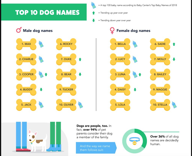 Popular male puppy names best sale 2018