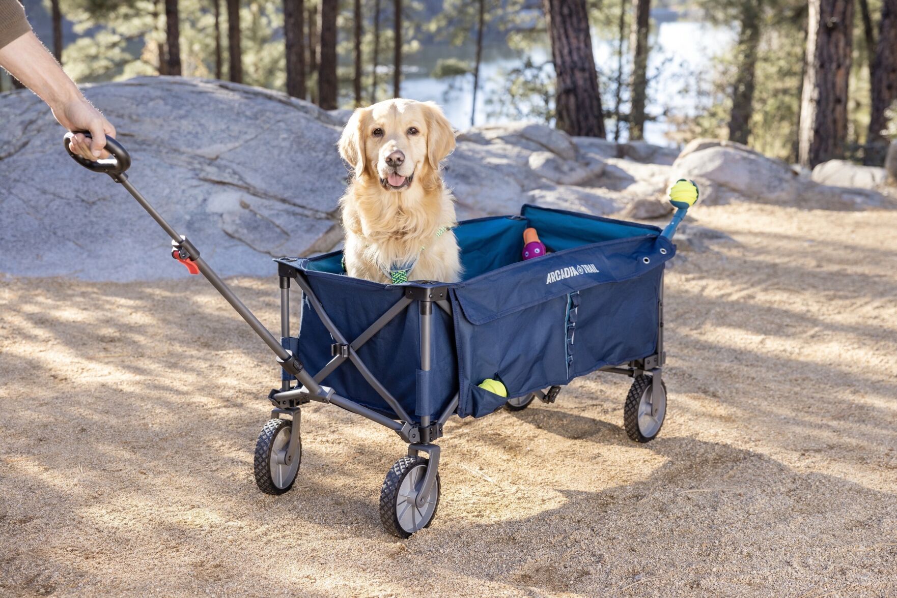 Hands free clearance leash petsmart