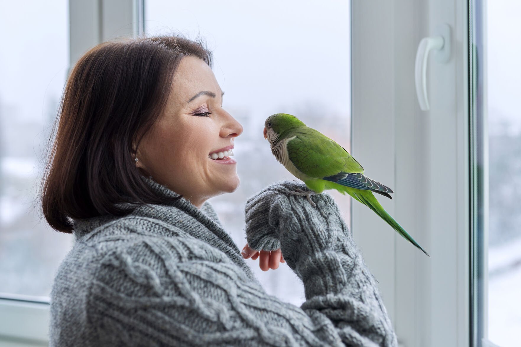 Sales of Pet Birds and Supplies Remain Steady Following Pandemic