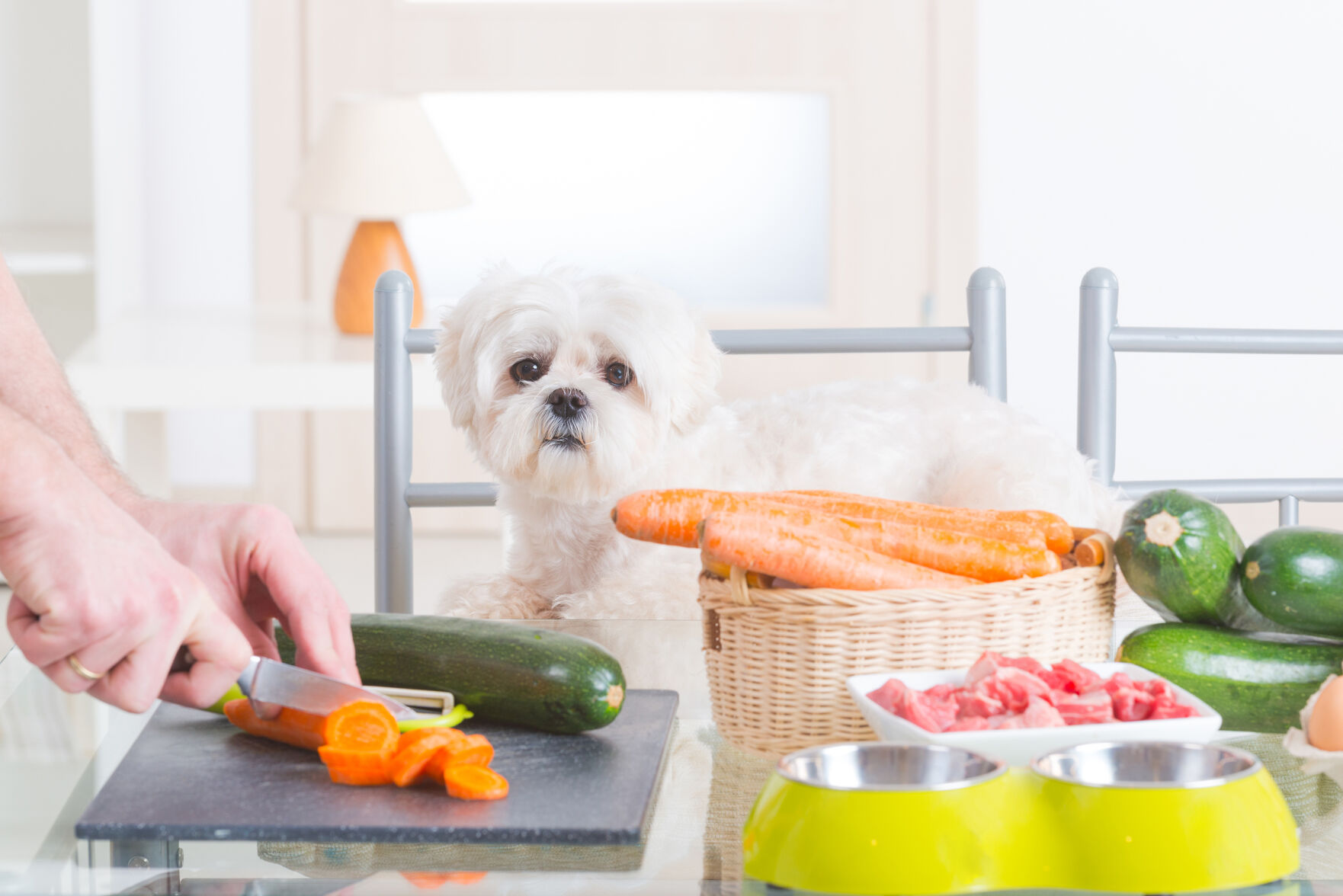 Ziwipeak petsmart outlet