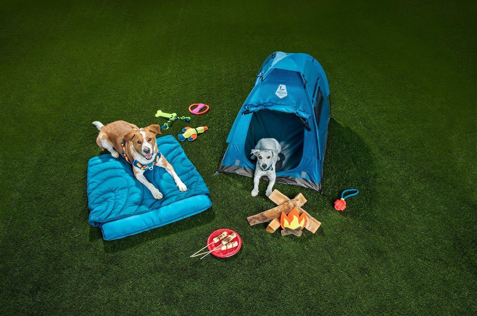PetSmart Introduces Private Label Outdoor Dog Gear Collection News
