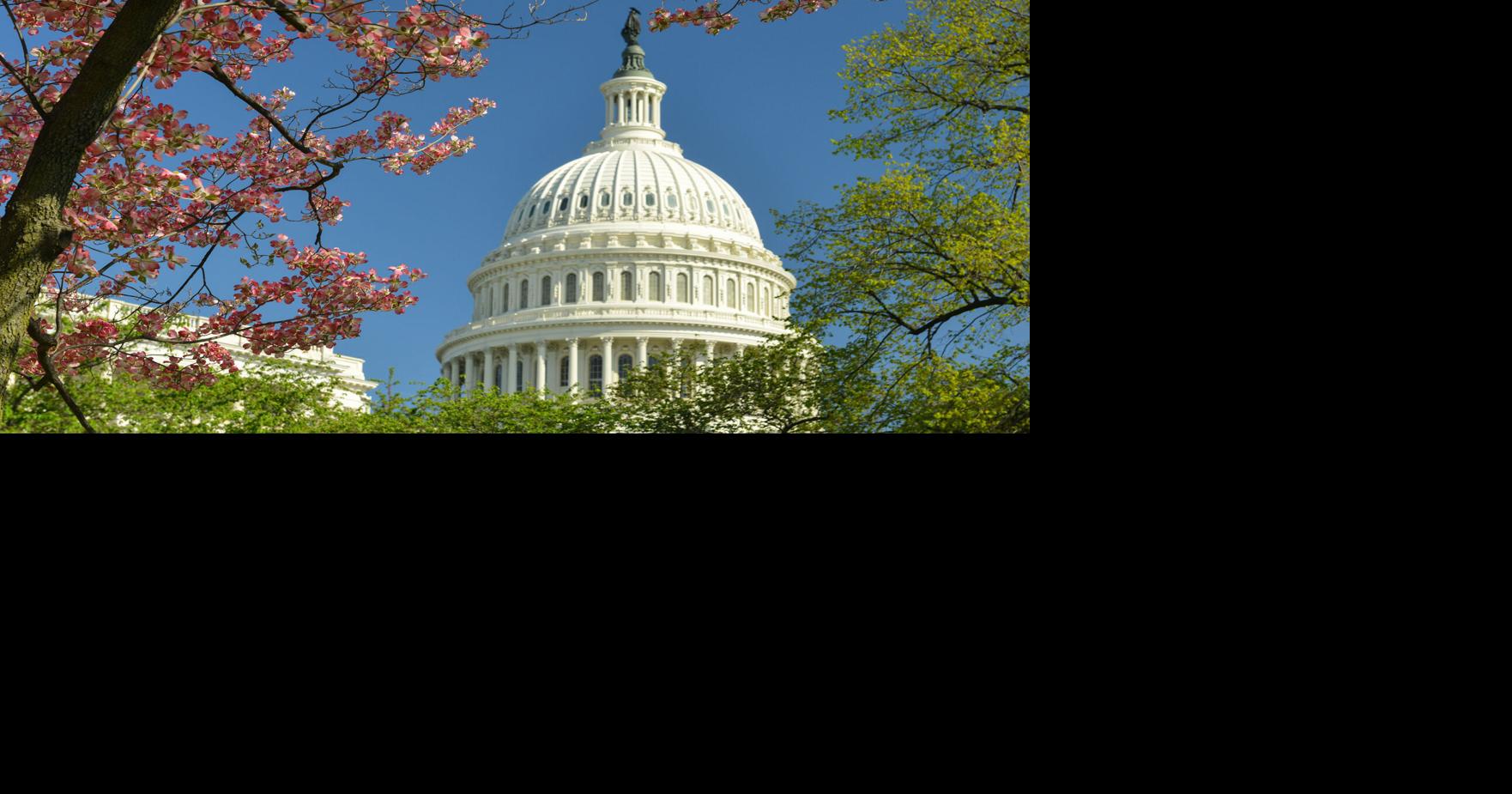 A Timeline of the Pet Advocacy Network’s 50 Years of Leadership | Blogs