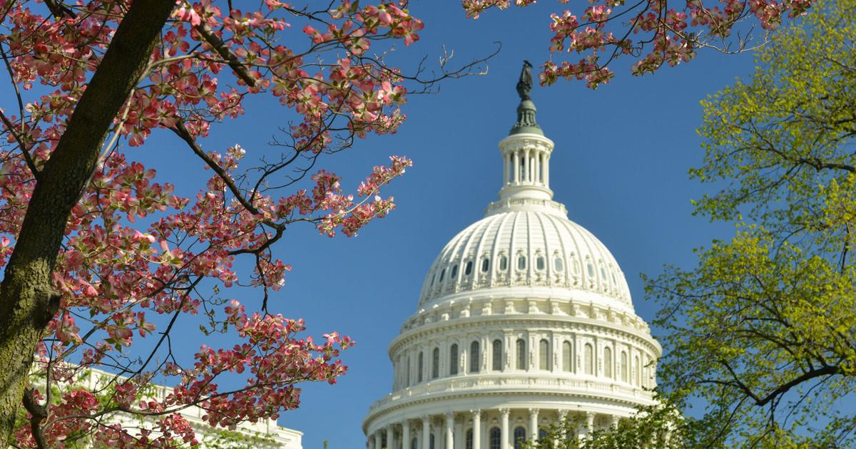 A Timeline of the Pet Advocacy Network’s 50 Years of Leadership | Blogs A Timeline of the Pet Advocacy Network’s 50 Years of Leadership | Blogs