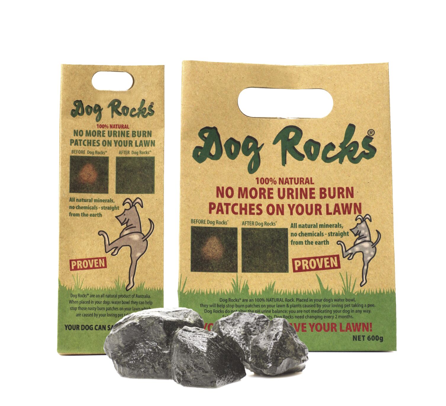 rocks for dogs water bowl