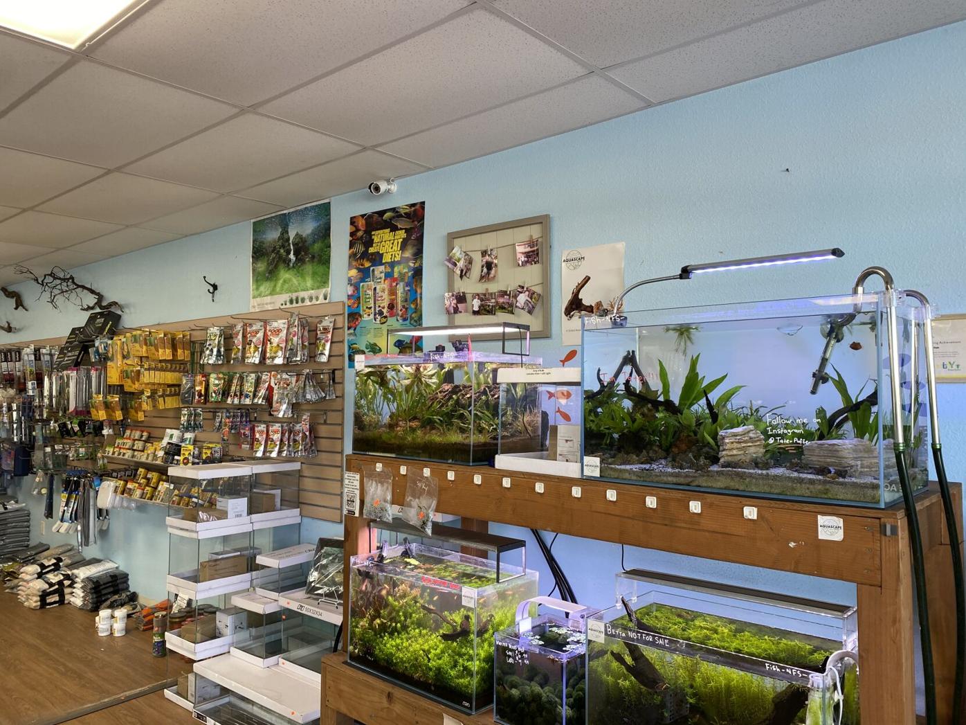 How Pet Zone Tropical Fish Expanded the Aquascaping Hobby Industry