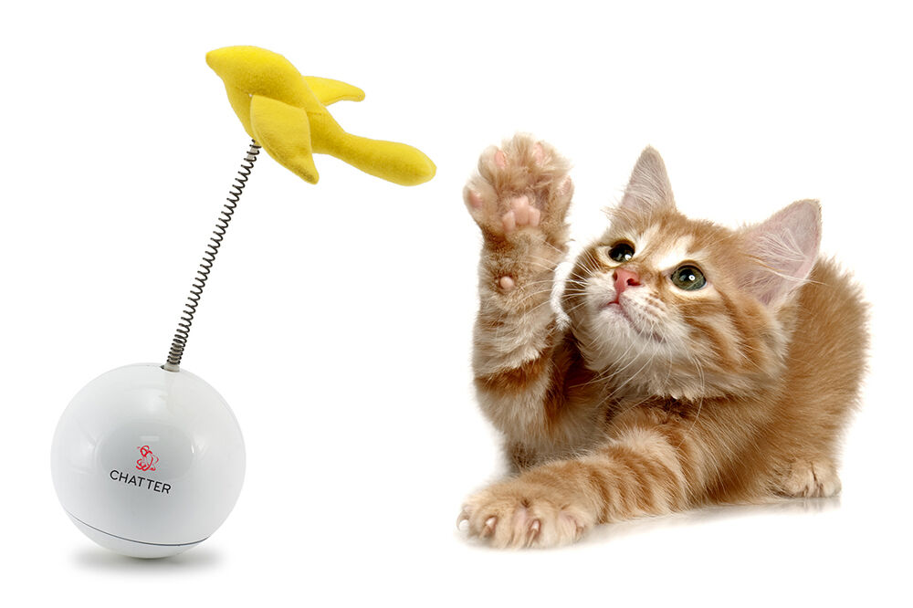 PetSafe FroliCat Chatter | Cat Products 