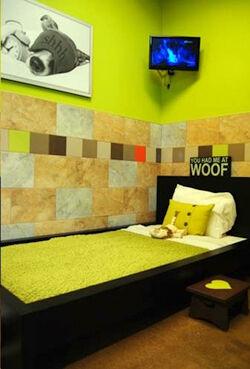Pooch Hotel Plans Expansion In 2012 And Beyond Archives Petproductnews Com