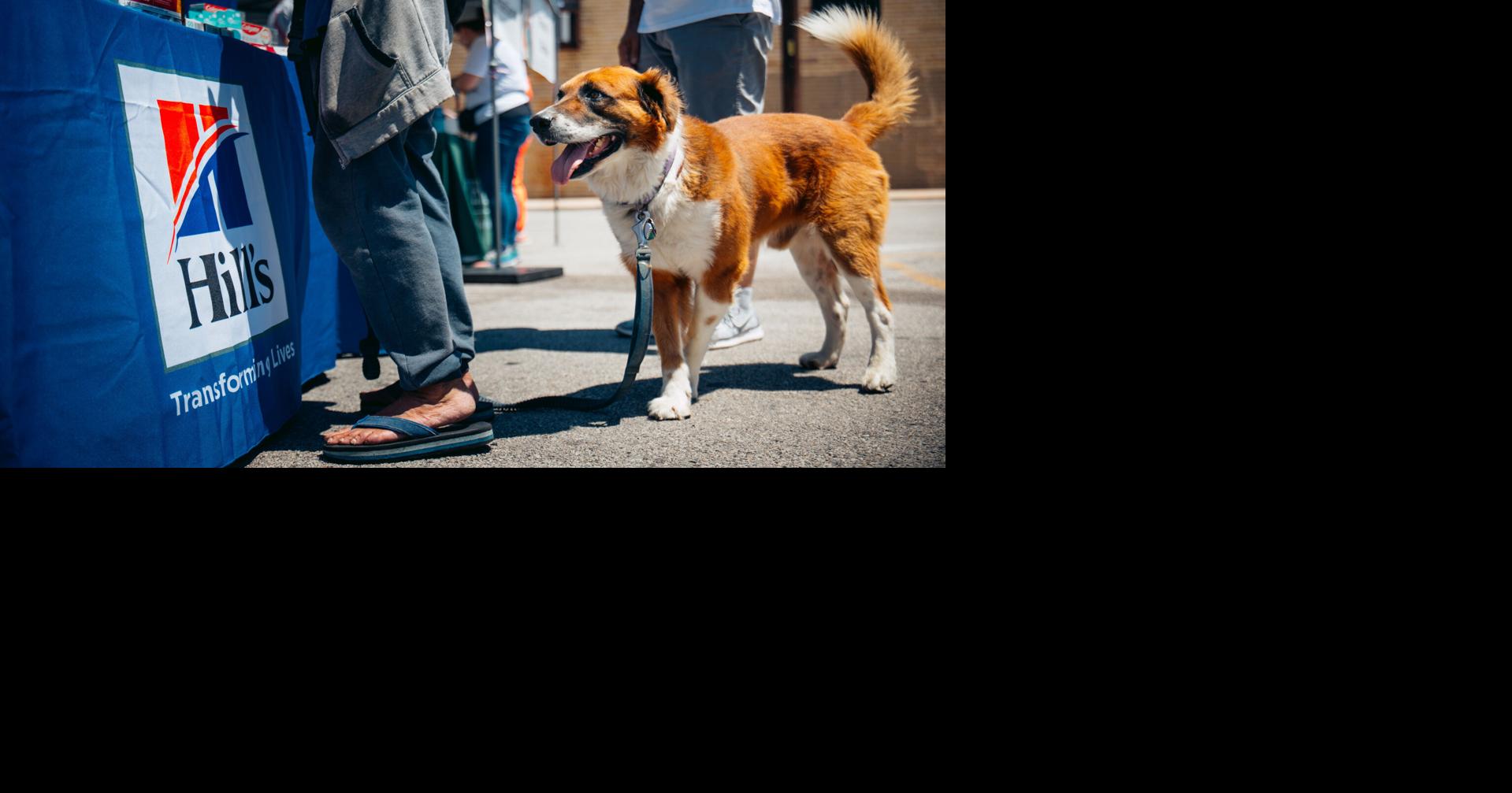 Hills Pet NutritionAVMA2024Sunday